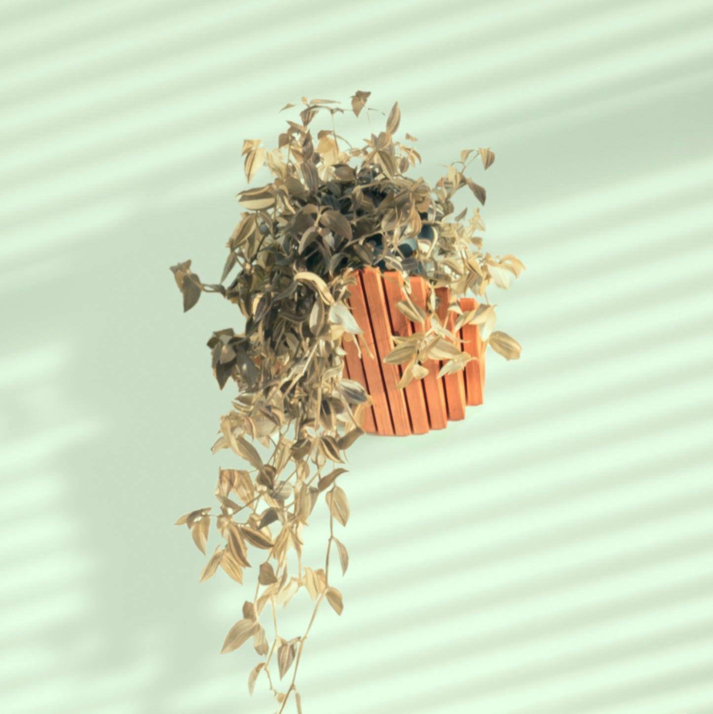 'Cliff' shelf by grankrona on wall with a hanging plant on top