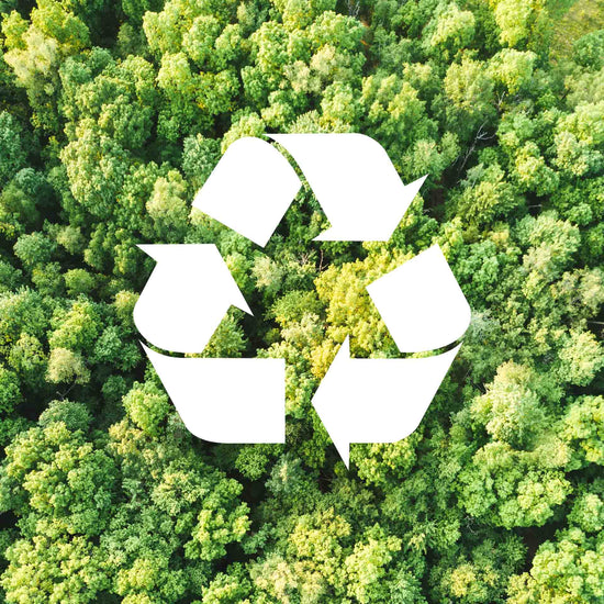 recycling sign with a green forest as a back drop