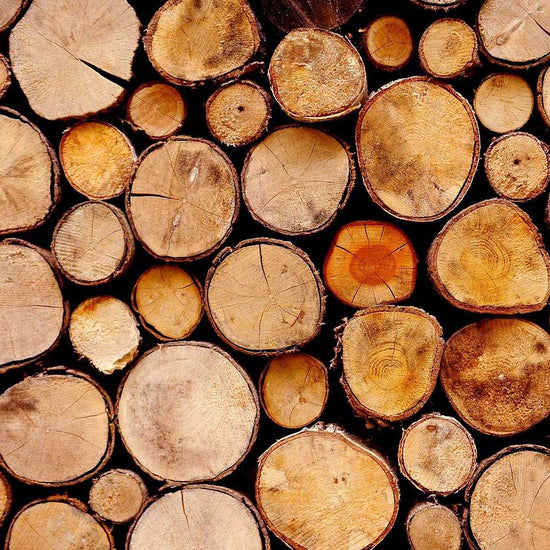 Stacks of wood logs waiting to dry out