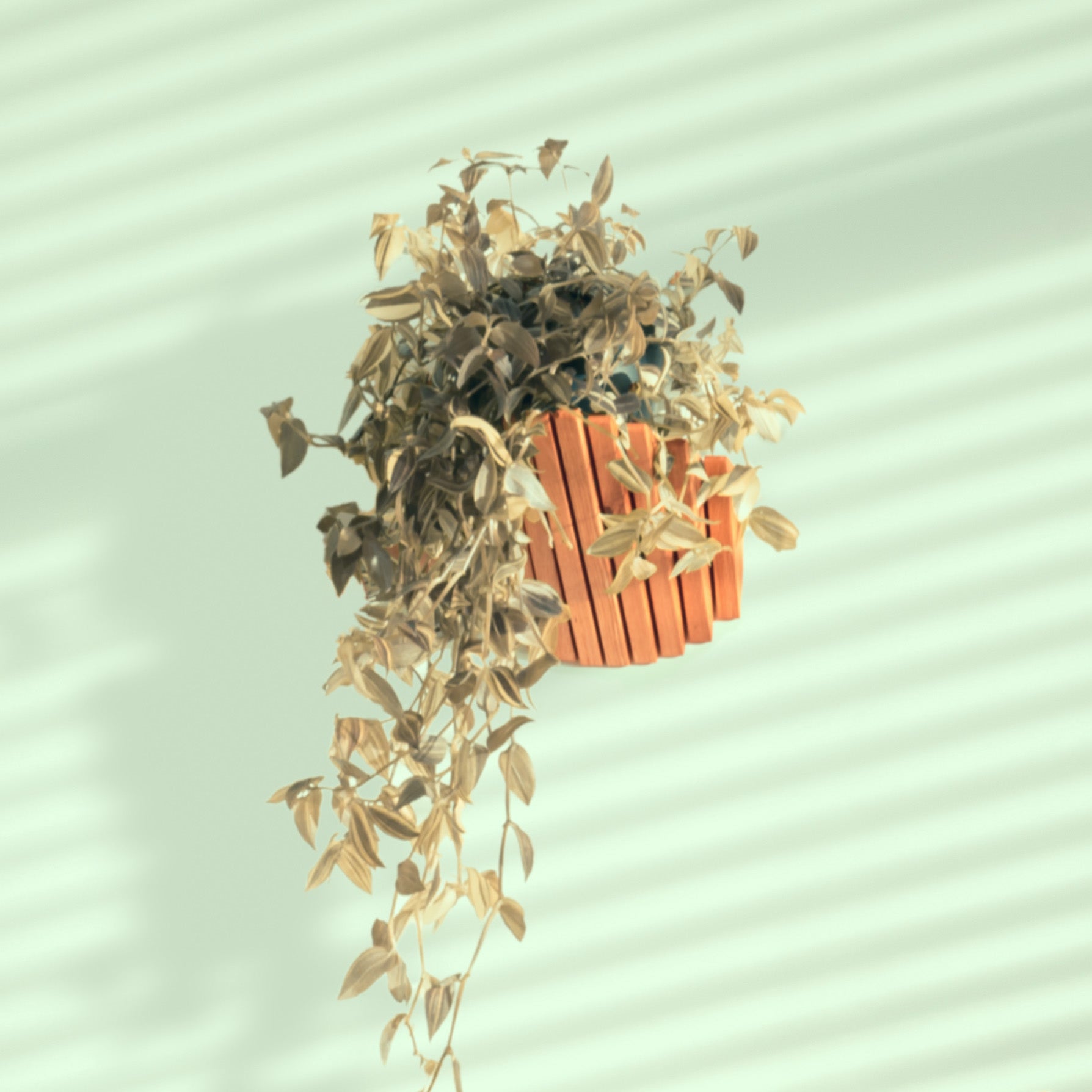 'Cliff' shelf by grankrona on wall with a hanging plant on top